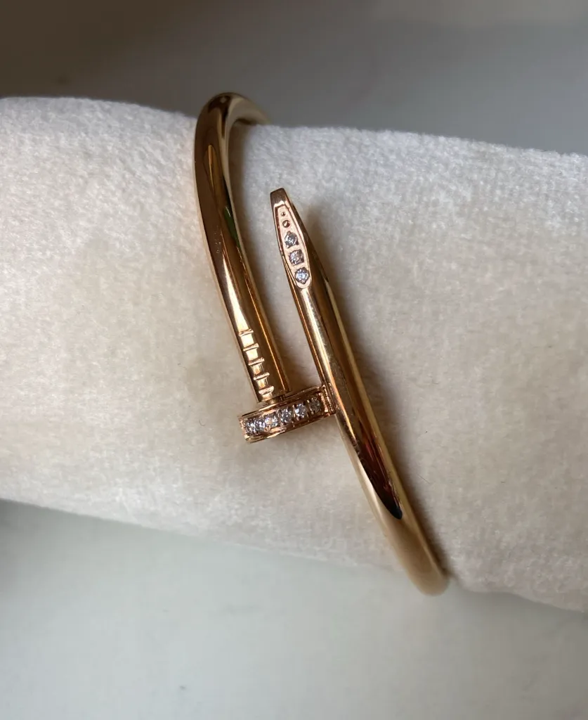 WhatsApp Image 2026-02-25 at 4.25.54 PM.webp