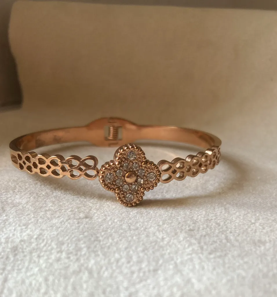 WhatsApp Image 2026-02-25 at 5.05.58 PM.webp