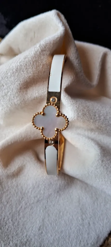 WhatsApp Image 2026-02-25 at 1.39.19 PM.webp