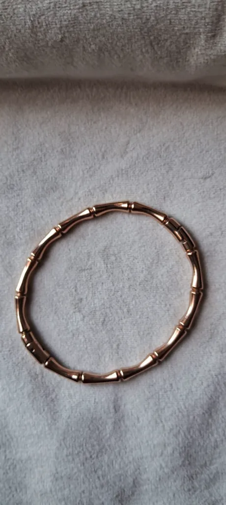 Bamboo Bangle bracelet